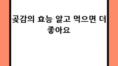 쫀득 달콤 곶감용대봉🍯 최고의 선택 가이드