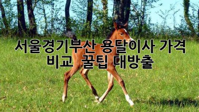 🚚 서울/경기/부산 용달이사 가격 비교 & 꿀팁 대방출! 🍯