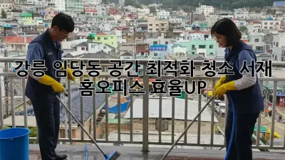 강릉 임당동 공간 최적화 청소🧹: 서재 & 홈오피스 효율UP!